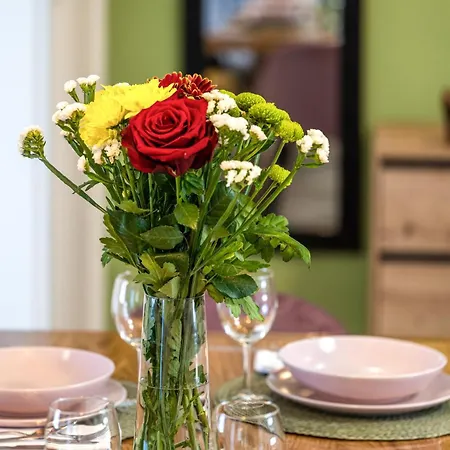 Awesome In With Kitchen Ferienhaus Pirovac