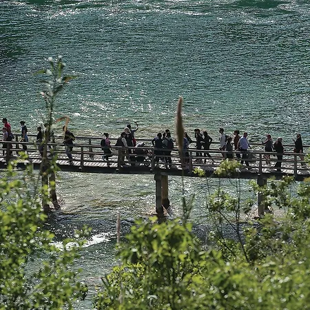 Awesome In With Kitchen Pirovac