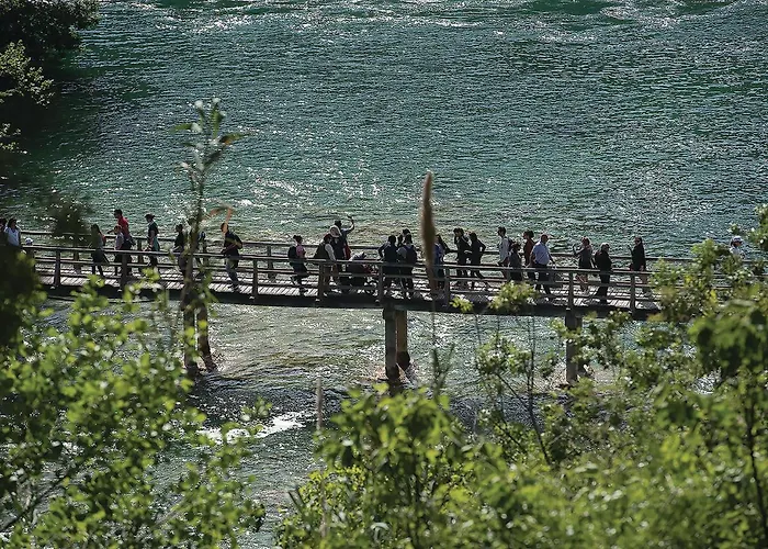 Awesome In With Kitchen Pirovac